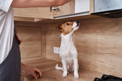 Man with a dog fixing kitchen cabinet