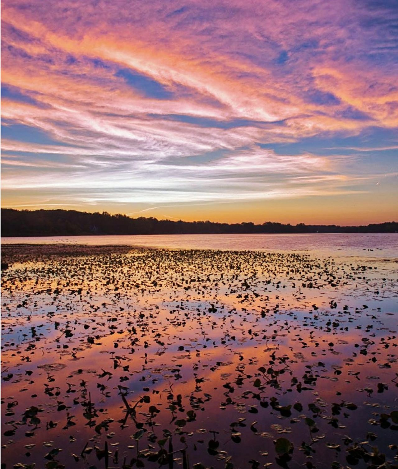 Pinks sky