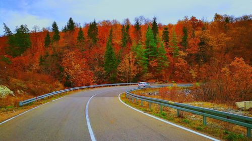 Road amidst trees in forest during autumn