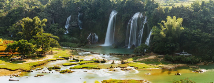 Scenic view of waterfall in forest