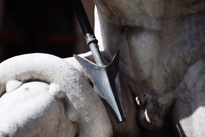 Close-up of white statue