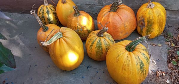 High angle view of pumpkins for sale at market stall