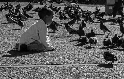 Full length of boy kneeling on street amid pigeons