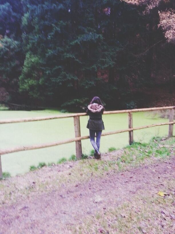 full length, casual clothing, lifestyles, leisure activity, standing, tree, rear view, person, railing, young adult, young women, growth, plant, nature, outdoors, day, walking, forest