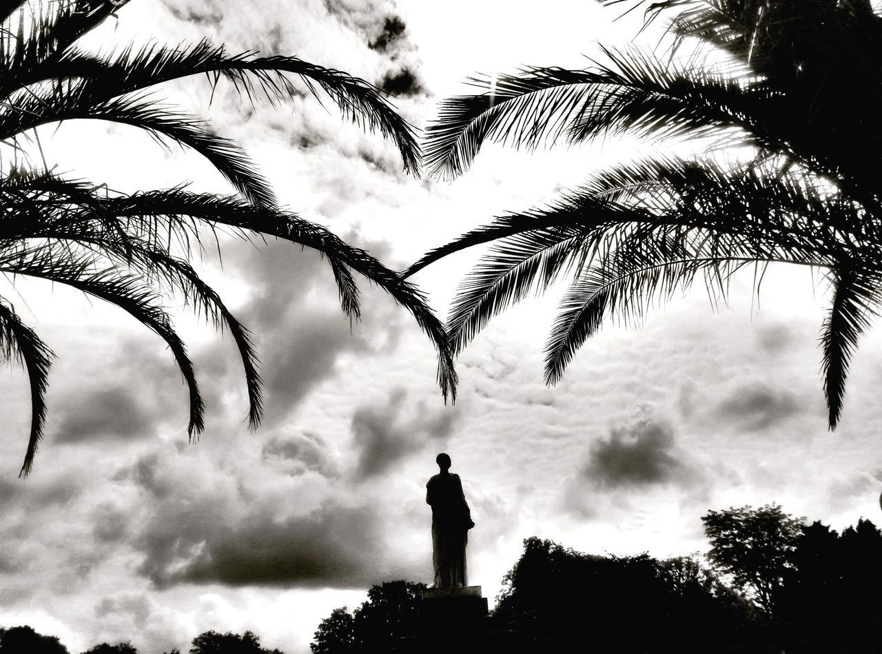 tree, plant, sky, cloud - sky, silhouette, nature, palm tree, real people, standing, growth, one person, leisure activity, beauty in nature, tropical climate, lifestyles, outdoors, men, day, low angle view