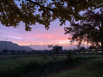 Scenic view of field against sky during sunset