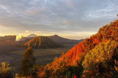 Scenic view of mount broom during sunset