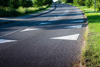 Marking on road by trees