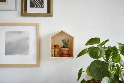 Potted plant on wall at home