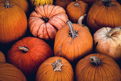 Full frame shot of pumpkins for sale at market