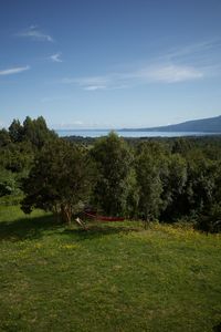 Scenic view of trees on field against sky