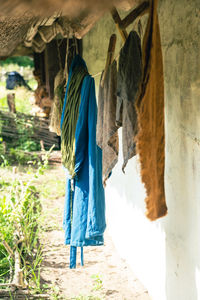 Rear view of clothes hanging on wall