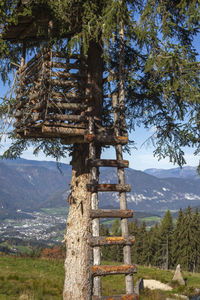 Scenic view of trees and mountains against sky