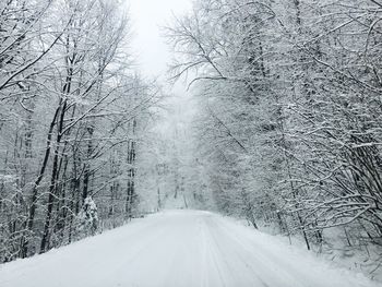 Empty road covered in snow surrounded by trees covered in snow