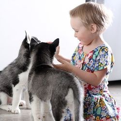 Cute girl playing with puppy