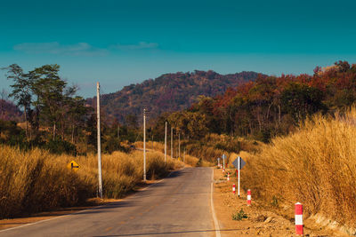 Road amidst trees against sky