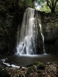 Waterfall in forest