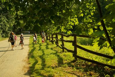 People walking on field at park