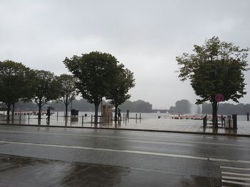 View of road along trees