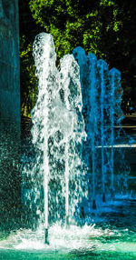 Water splashing against trees