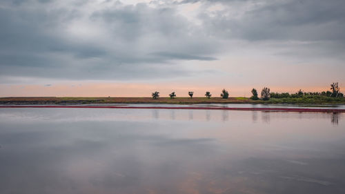reflection