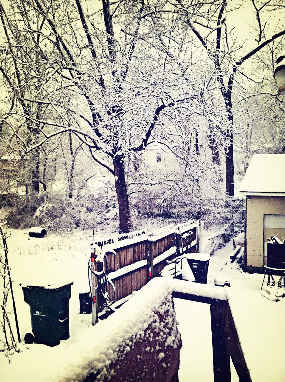 snow, winter, cold temperature, season, weather, bare tree, tree, covering, bench, built structure, nature, branch, architecture, tranquility, building exterior, covered, outdoors, frozen, day, absence