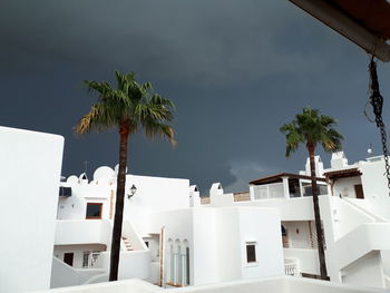 Low angle view of palm trees and buildings against sky