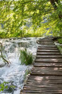 Close-up of water against trees