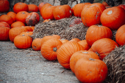 Close-up of pumpkins