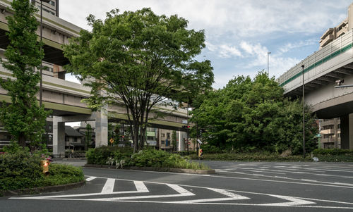 Road by trees and buildings in city against sky