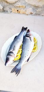 High angle view of fish on table