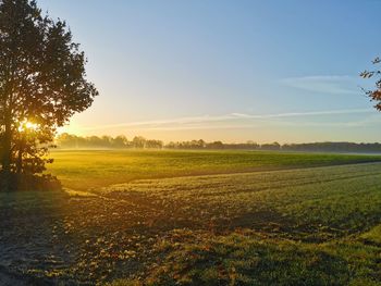 Scenic view of field against sky during sunset