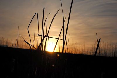 Sunset over landscape