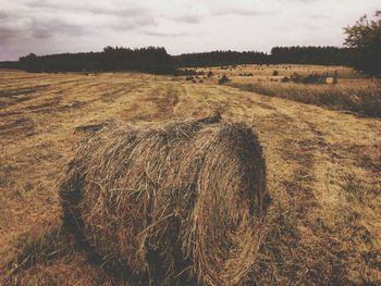 Hay bales on field against sky