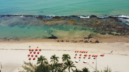 High angle view of palm trees by sea