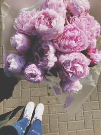 Low section of person standing by pink flowering plant