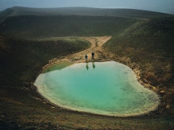 Reflection of trees in water