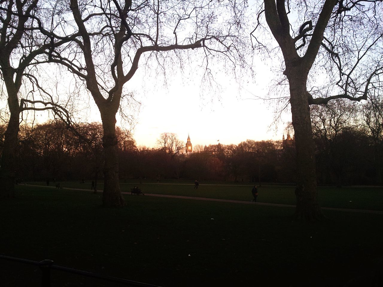 BARE TREES ON FIELD AGAINST SKY DURING AUTUMN