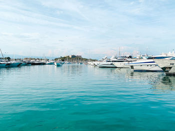 Sailboats moored in harbor against sky