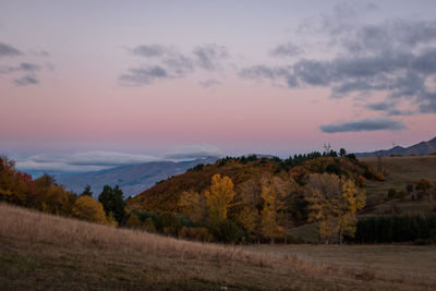 Scenic view of field against sky during sunrise 