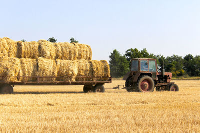 Hay bales on field against clear sky