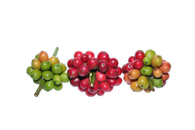 Close-up of fruits against white background