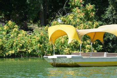 Boat in lake against trees in forest