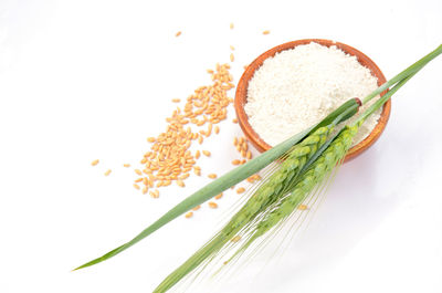 High angle view of berries on white background