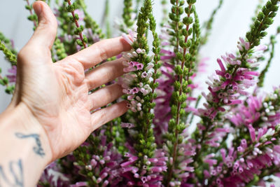 Close-up of woman hand with flowers