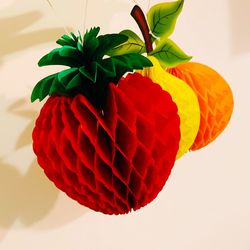Close-up of red flowering plant