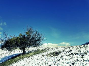 Scenic view of snow covered landscape against blue sky