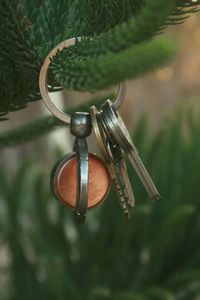 Close-up of metal hanging on wood