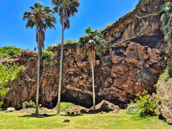 View of rock formation and trees against sky
