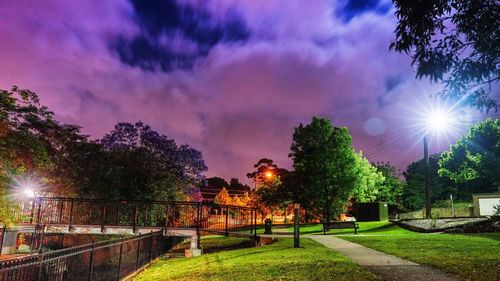 Trees at night